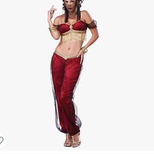 Princess Jasmine Costume Halloween